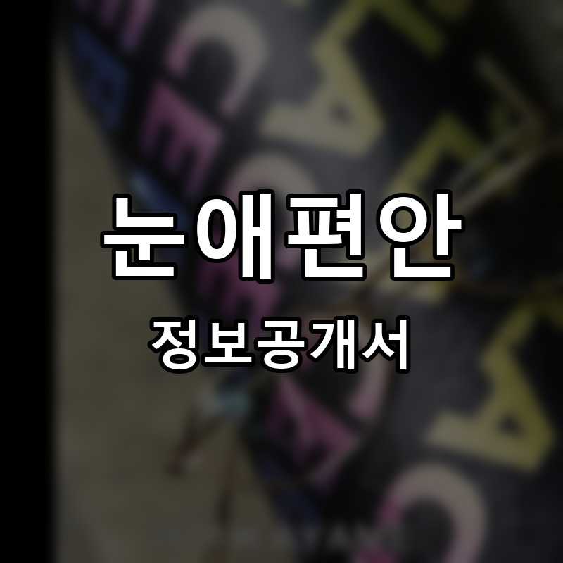 눈애편안 프랜차이즈 정보공개서
