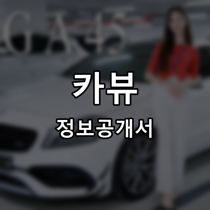 카뷰 프랜차이즈 정보공개서