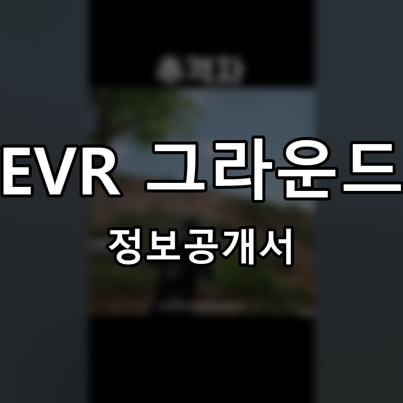 EVR 그라운드 프랜차이즈 정보공개서