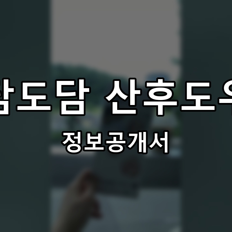 도담도담 산후도우미 프랜차이즈 정보공개서