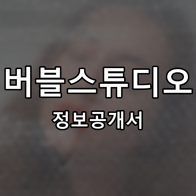 버블스튜디오 프랜차이즈 정보공개서