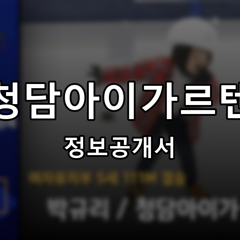 청담아이가르텐 프랜차이즈 정보공개서