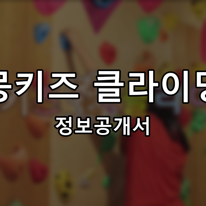 몽키즈 클라이밍 프랜차이즈 정보공개서