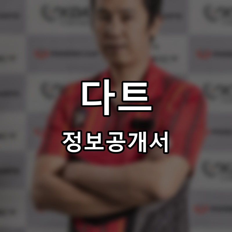 다트 프랜차이즈 정보공개서