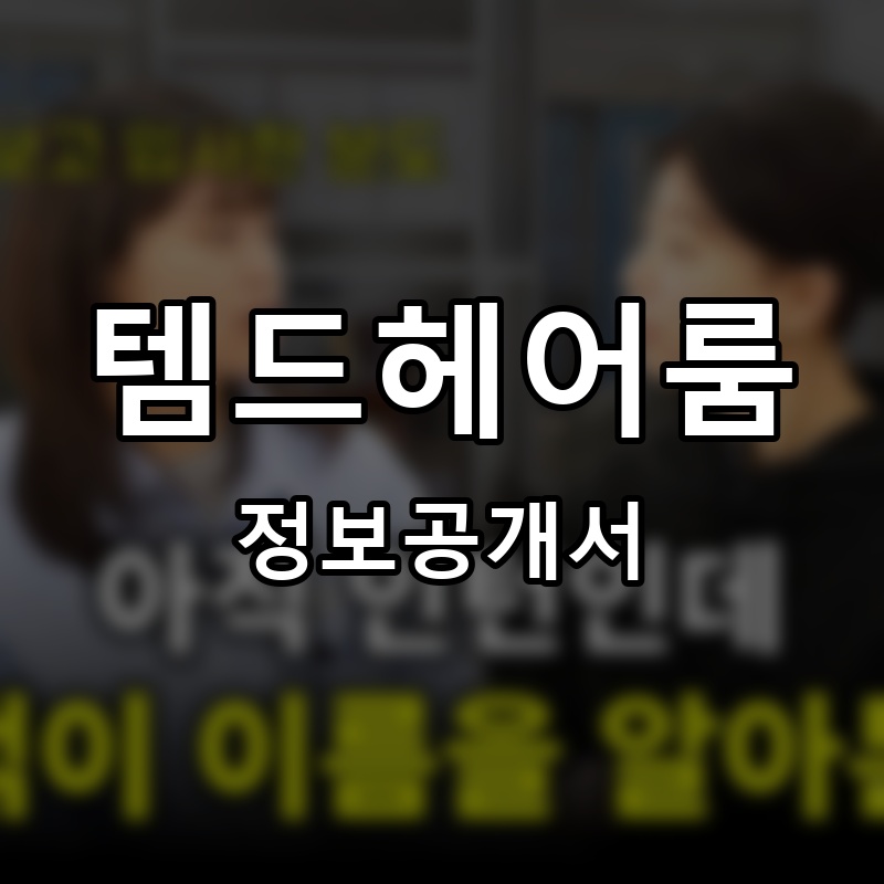 템드헤어룸 프랜차이즈 정보공개서