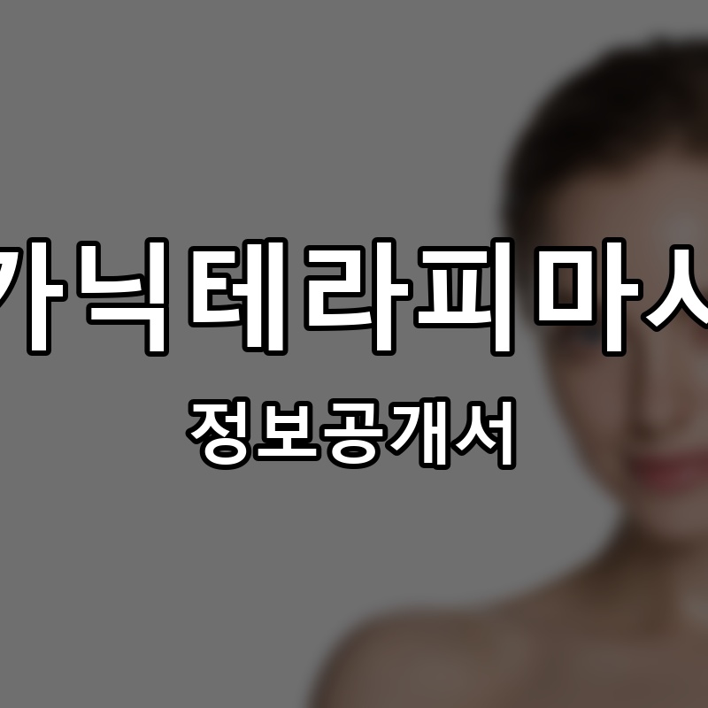 뉴가닉테라피마사지 프랜차이즈 정보공개서
