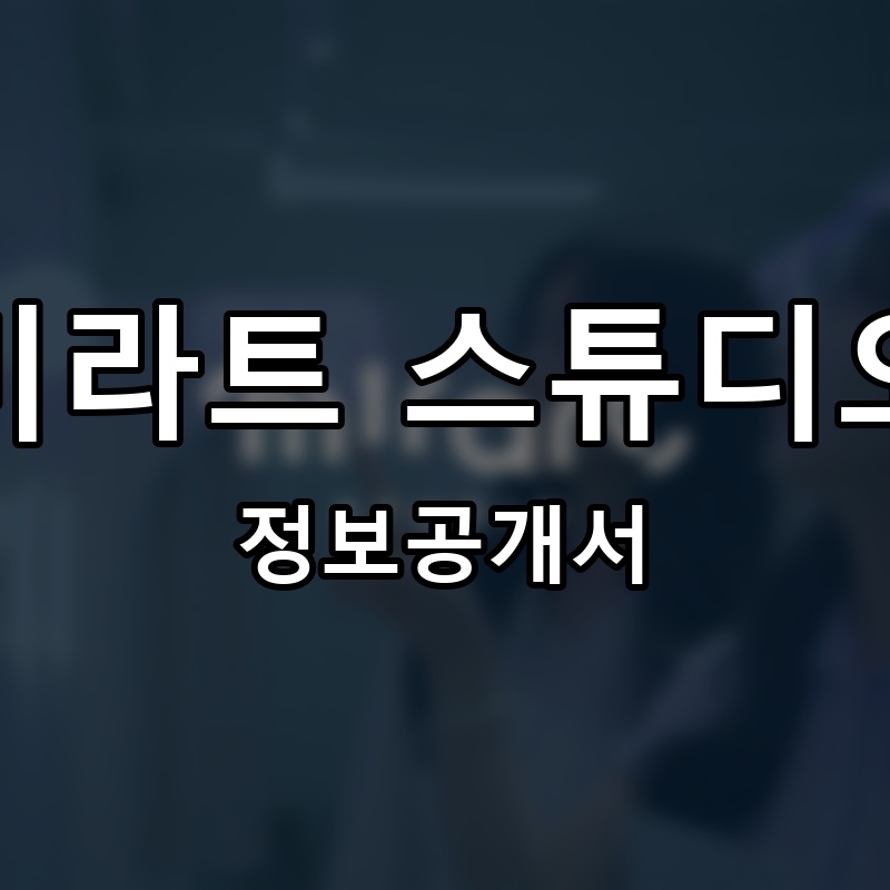 미라트 스튜디오 프랜차이즈 정보공개서