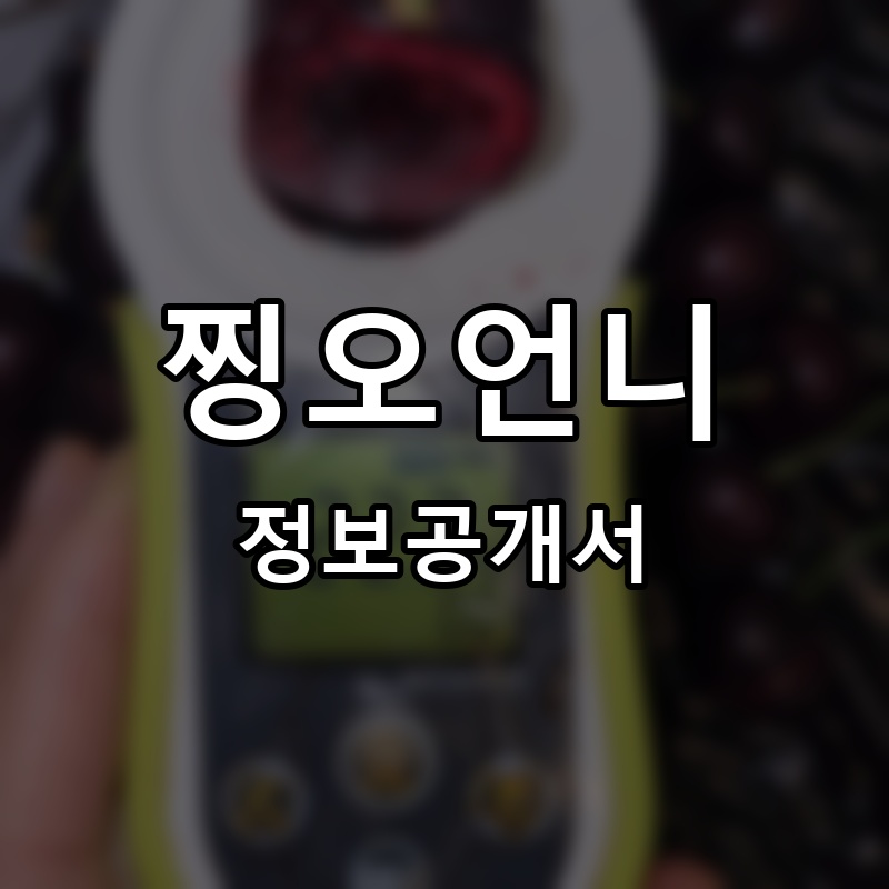찡오언니 프랜차이즈 정보공개서