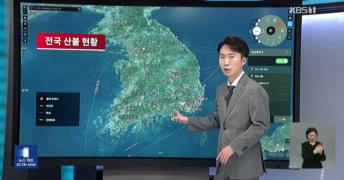 충격! '봉대산 불다람쥐'의 재림, 17년의 기다림 끝에 드러난 진실