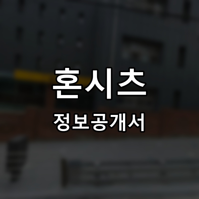 혼시츠 프랜차이즈 정보공개서