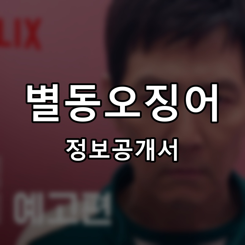 별동오징어 프랜차이즈 정보공개서