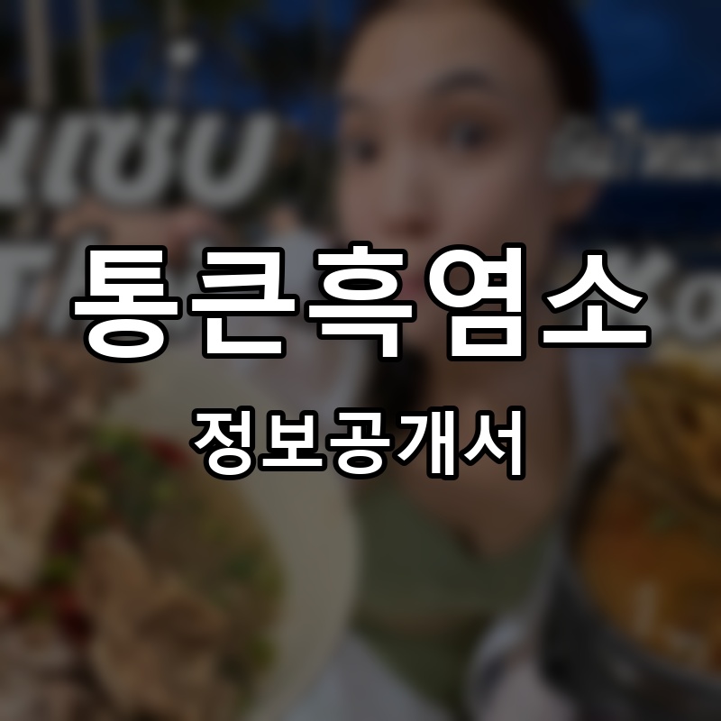 통큰흑염소 프랜차이즈 정보공개서