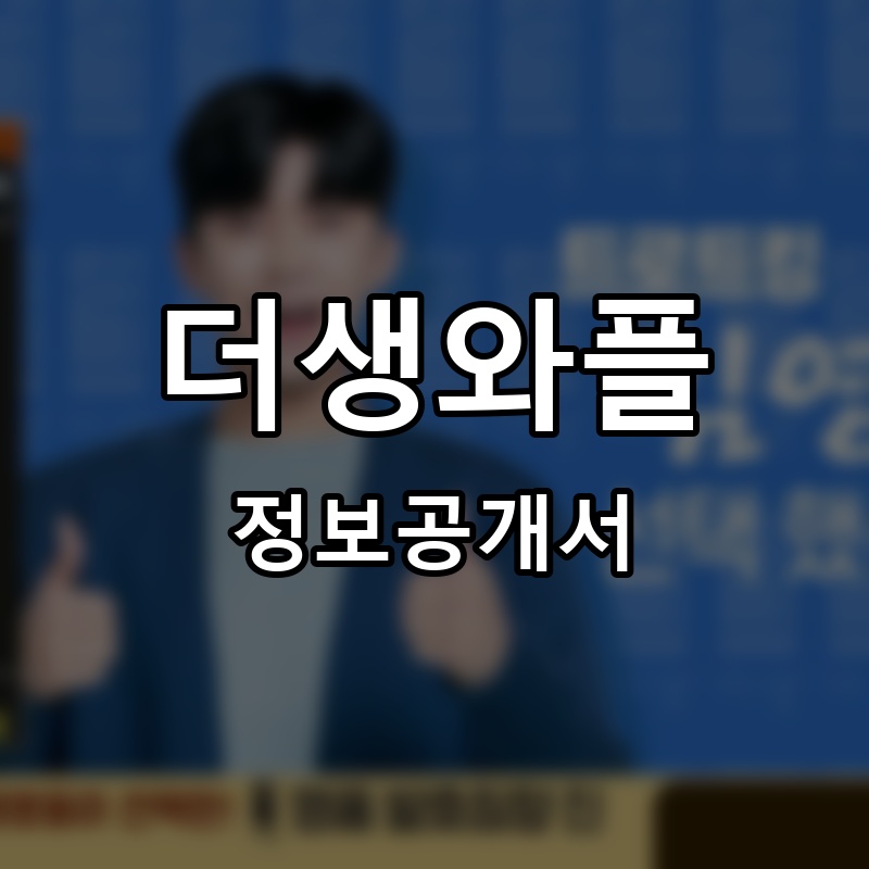 더생와플 프랜차이즈 정보공개서
