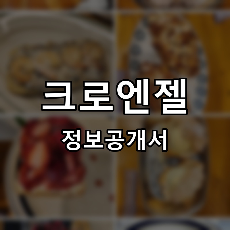 크로엔젤 프랜차이즈 정보공개서