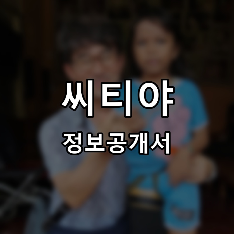 씨티야 프랜차이즈 정보공개서