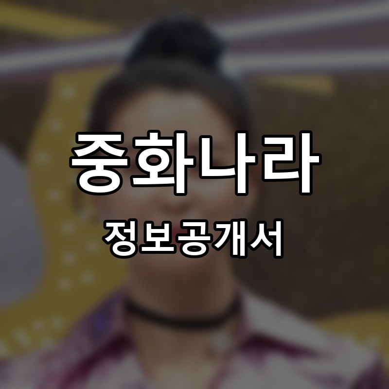 중화나라 프랜차이즈 정보공개서