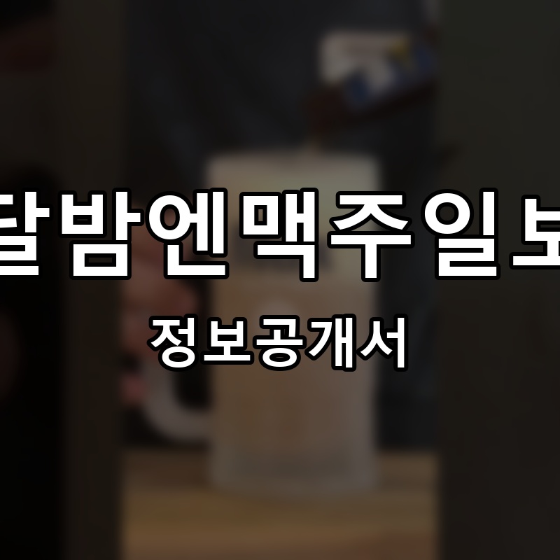 달밤엔맥주일보 프랜차이즈 정보공개서