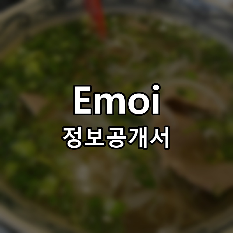 Emoi(에머이) 프랜차이즈 정보공개서