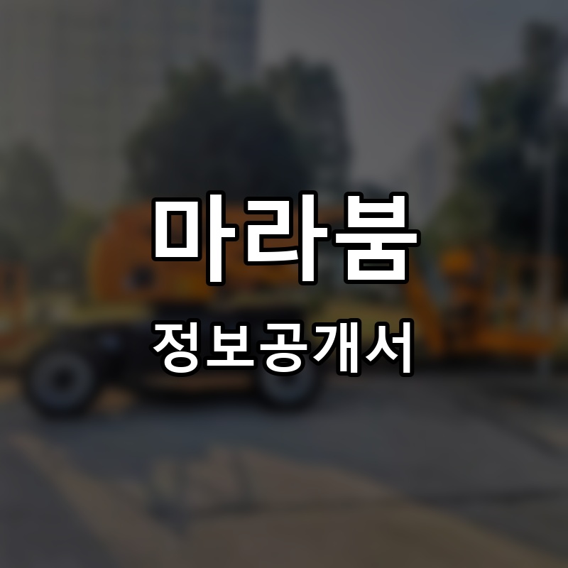 마라붐(마라BOOM) 프랜차이즈 정보공개서