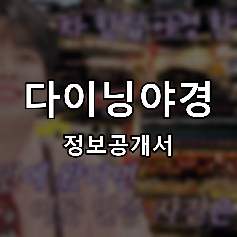 다이닝야경 프랜차이즈 정보공개서