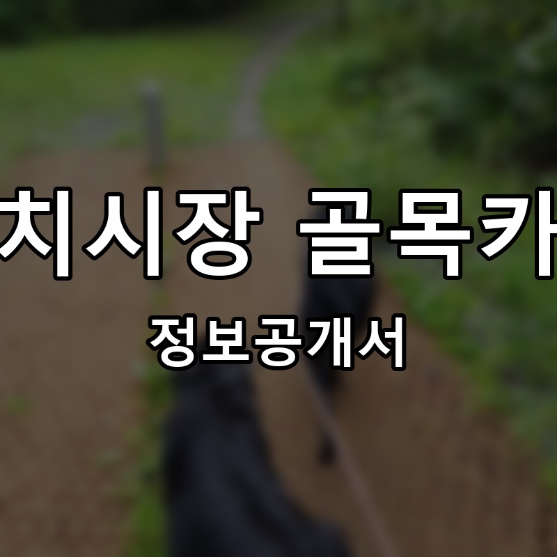 참치시장 골목카세 프랜차이즈 정보공개서
