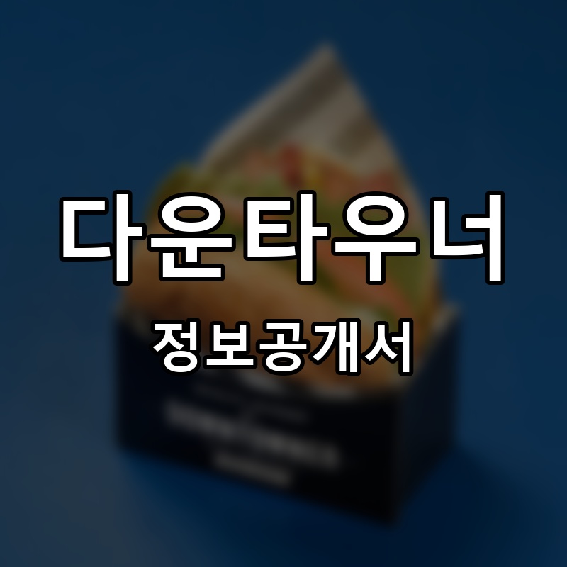 다운타우너 프랜차이즈 정보공개서