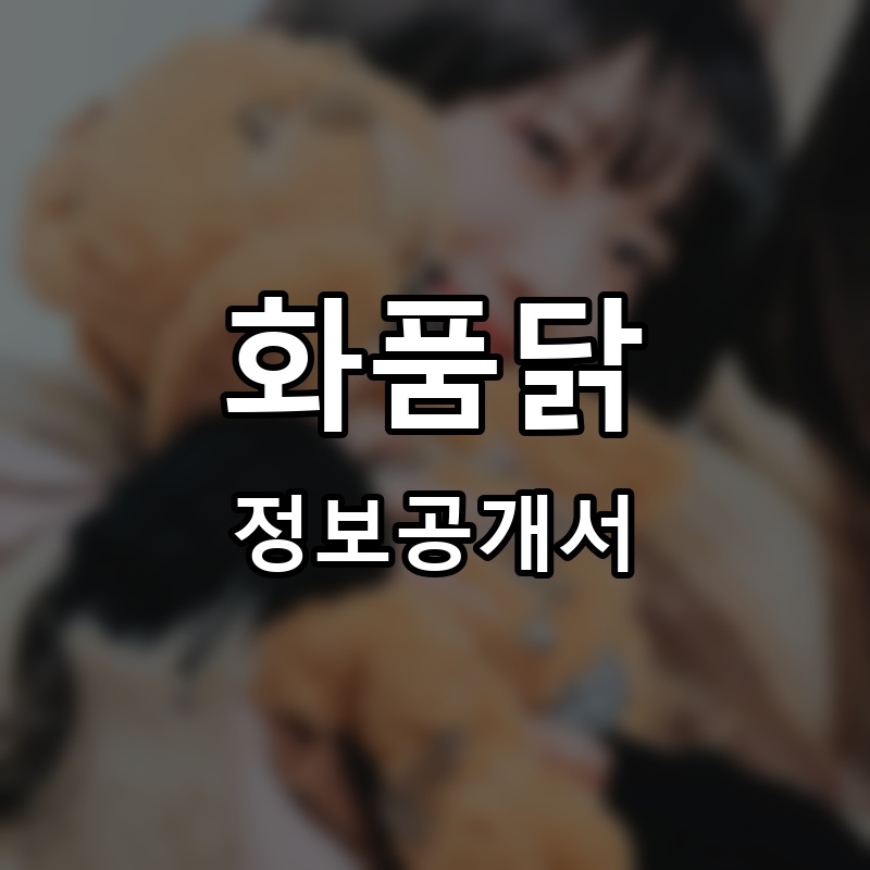 화품닭 프랜차이즈 정보공개서