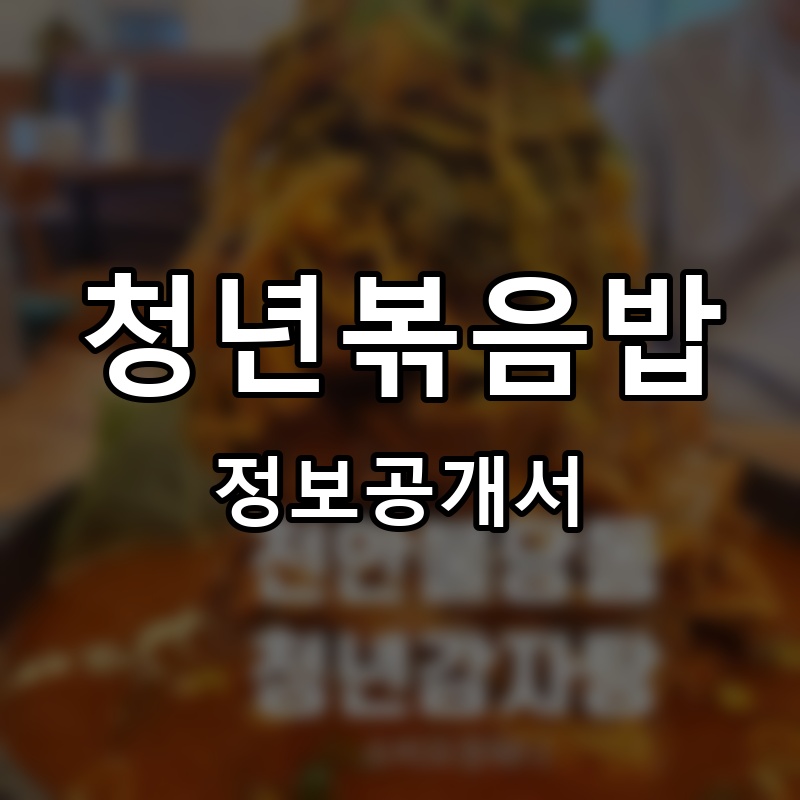 청년볶음밥 프랜차이즈 정보공개서
