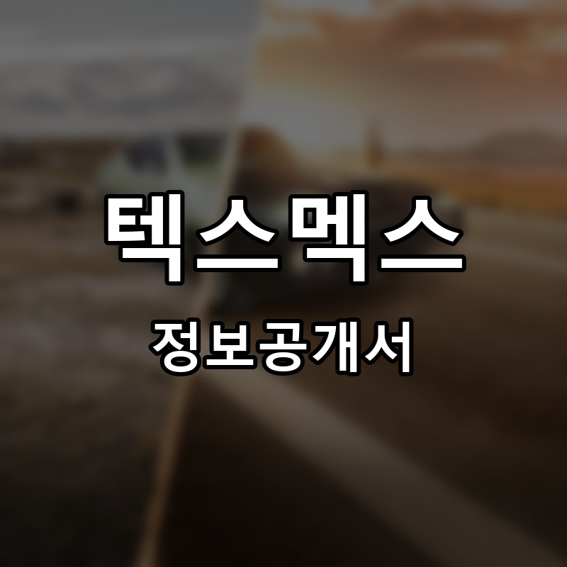 텍스멕스 프랜차이즈 정보공개서