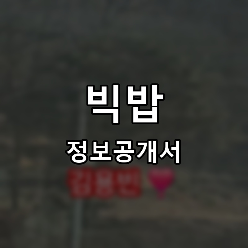 빅밥(BIGBAB) 프랜차이즈 정보공개서