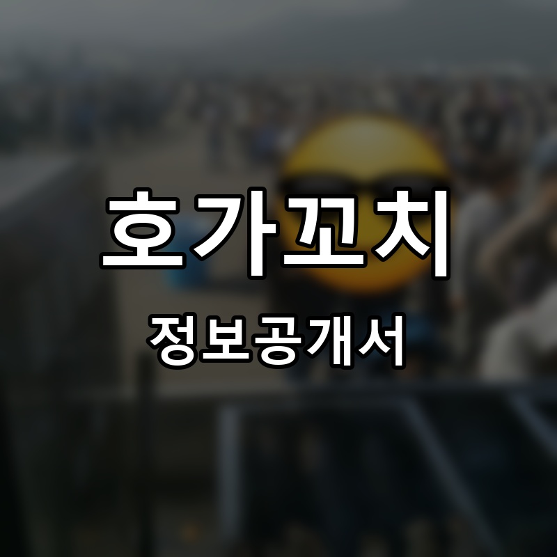 호가꼬치 프랜차이즈 정보공개서