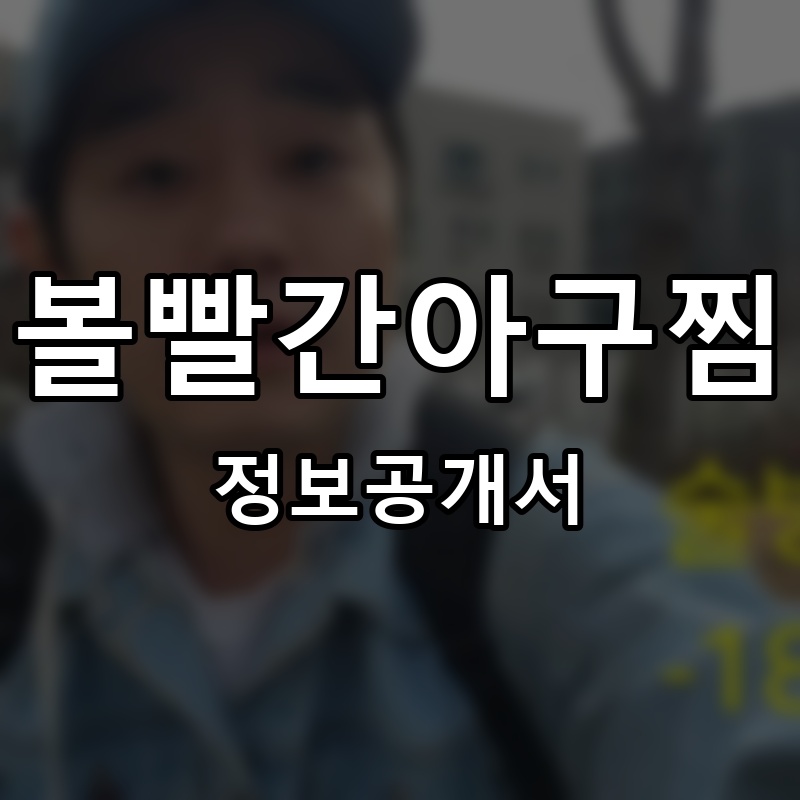 볼빨간아구찜 프랜차이즈 정보공개서