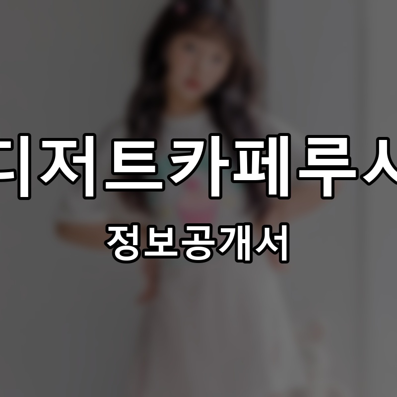 스윗디저트카페루시카토 프랜차이즈 정보공개서