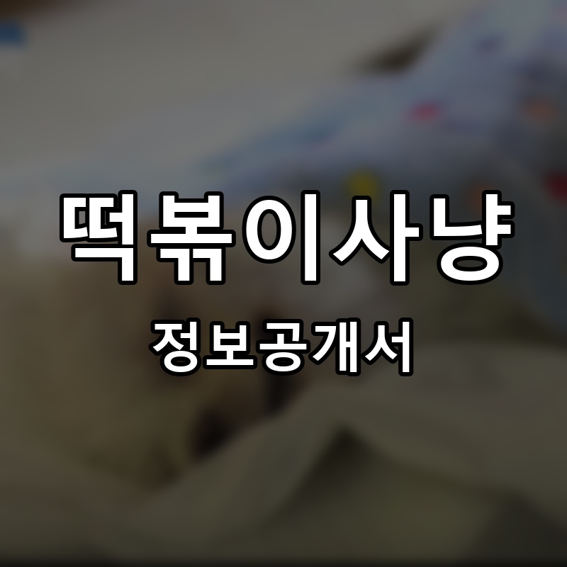 떡볶이사냥 프랜차이즈 정보공개서