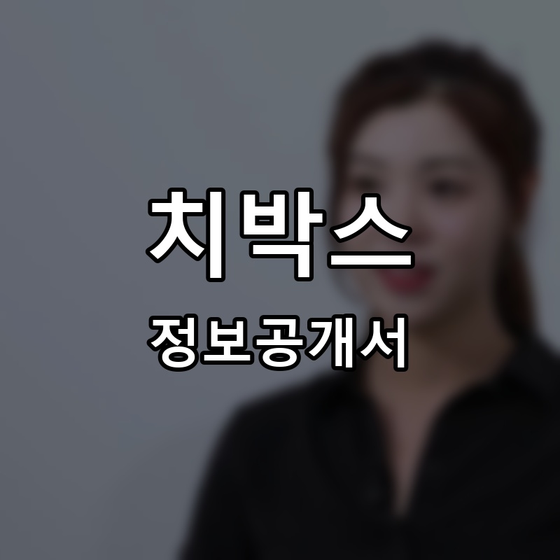 치박스 프랜차이즈 정보공개서