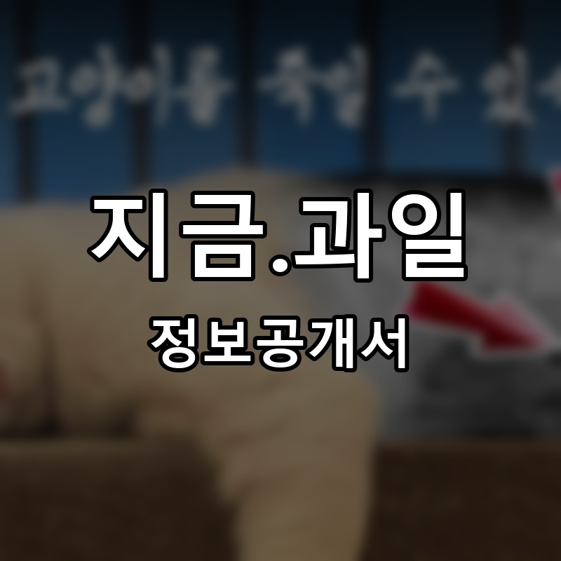 지금.과일 프랜차이즈 정보공개서