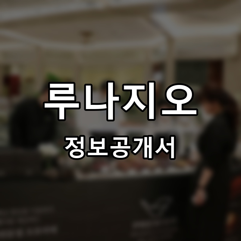 루나지오 프랜차이즈 정보공개서