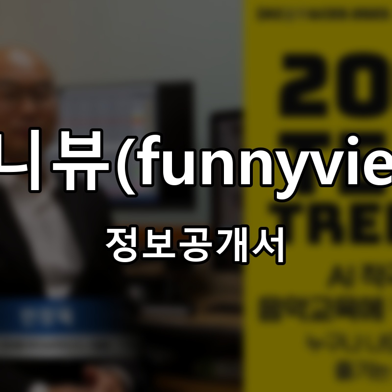 퍼니뷰(funnyview) 프랜차이즈 정보공개서