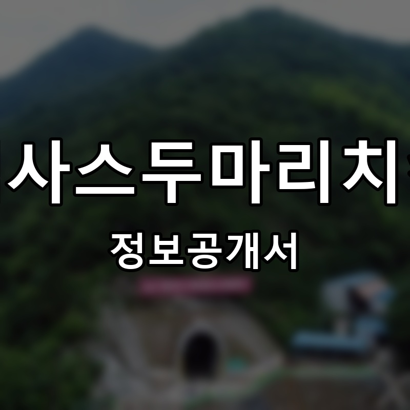 텍사스두마리치킨 프랜차이즈 정보공개서