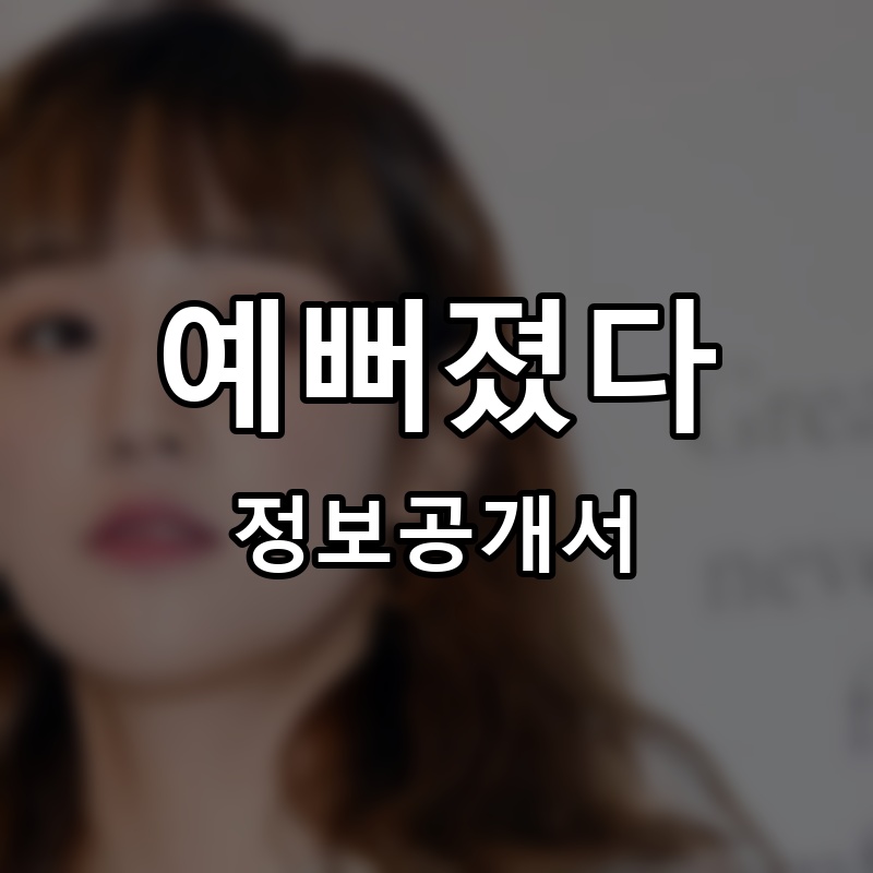 예뻐졌다 프랜차이즈 정보공개서