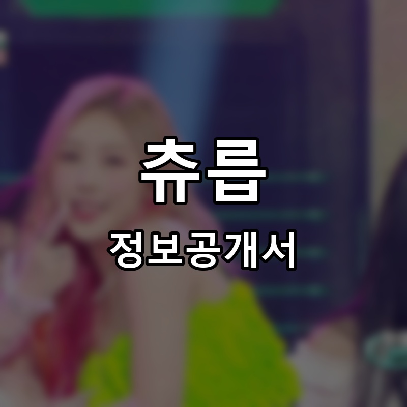 츄릅(chooroop) 프랜차이즈 정보공개서