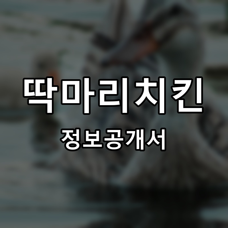 딱마리치킨 프랜차이즈 정보공개서