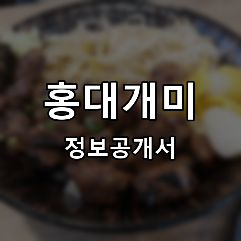 홍대개미 프랜차이즈 정보공개서