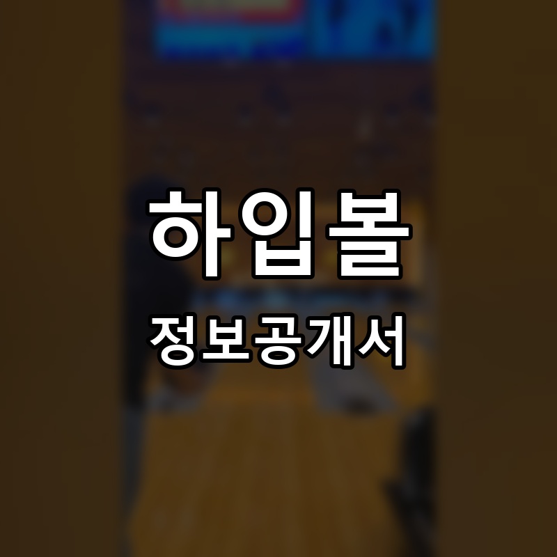 하입볼 프랜차이즈 정보공개서