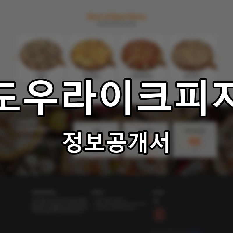 도우라이크피자 프랜차이즈 정보공개서