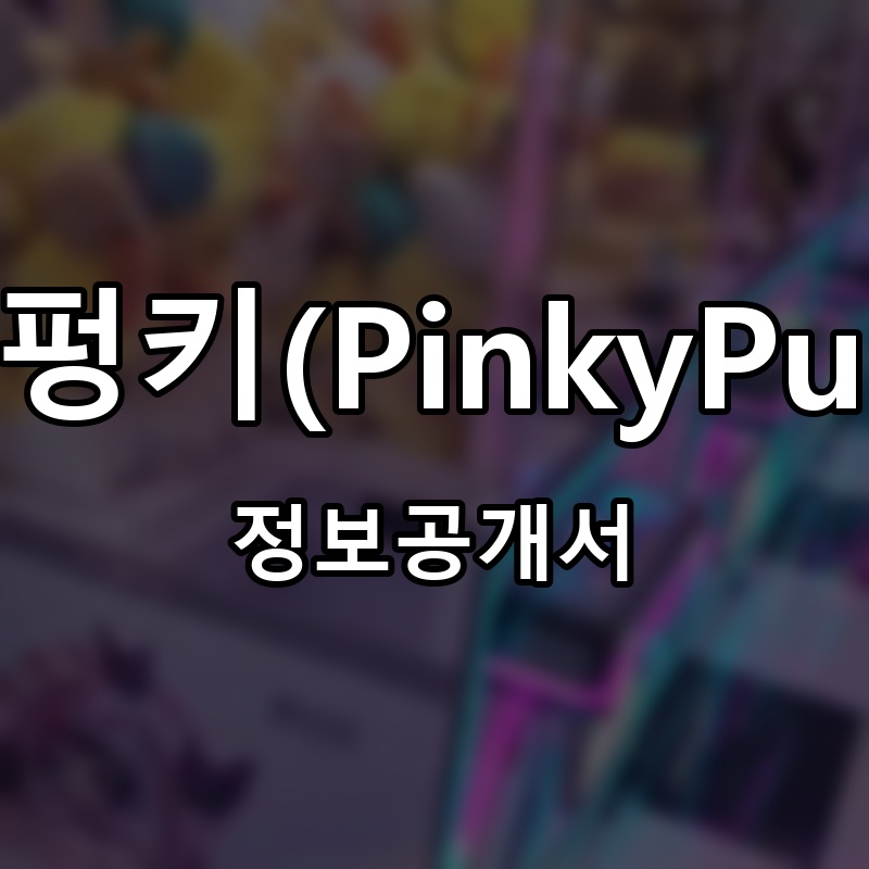 핑키펑키(PinkyPunky) 프랜차이즈 정보공개서
