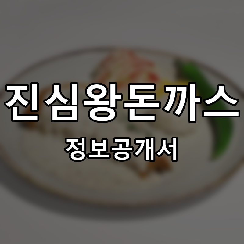 진심왕돈까스 프랜차이즈 정보공개서