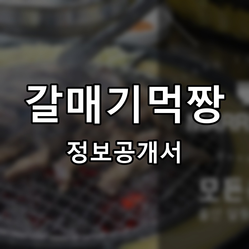 갈매기먹짱 프랜차이즈 정보공개서