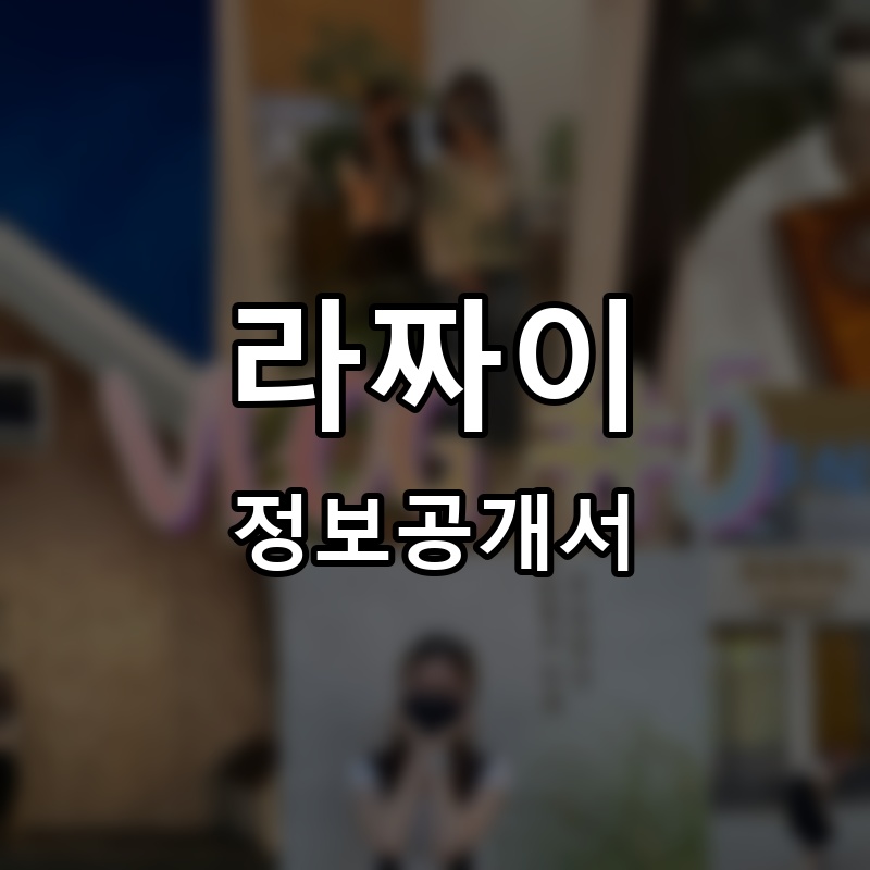 라짜이 프랜차이즈 정보공개서