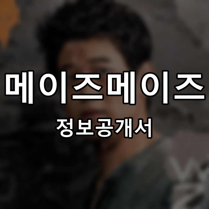 메이즈메이즈 프랜차이즈 정보공개서